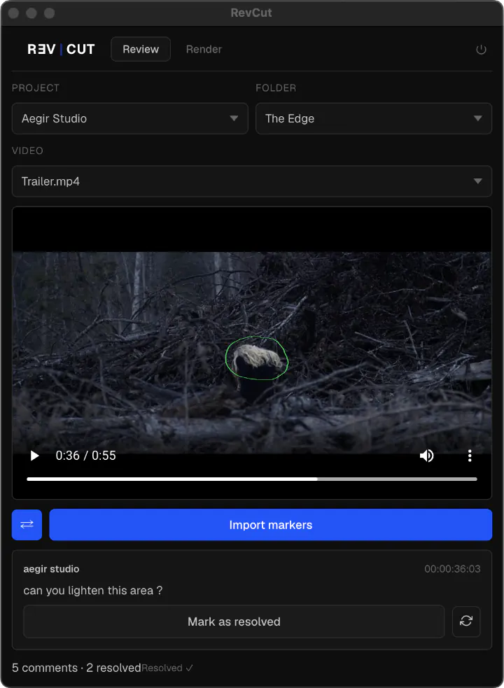 RevCut DaVinci Resolve plugin importing client comments as color-coded timeline markers